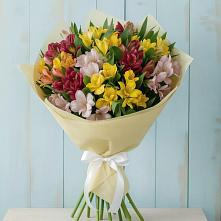 Букет цветов из:  Альстромерии в Хохле