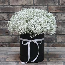 Цветочная композиция из Гипсофила в шляпной коробке #REPLACE_PRED# Хохле