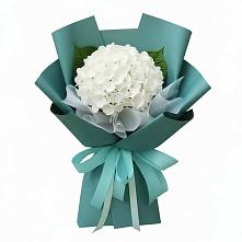 Букет цветов из:  Гортензия #REPLACE_PRED# Хохле